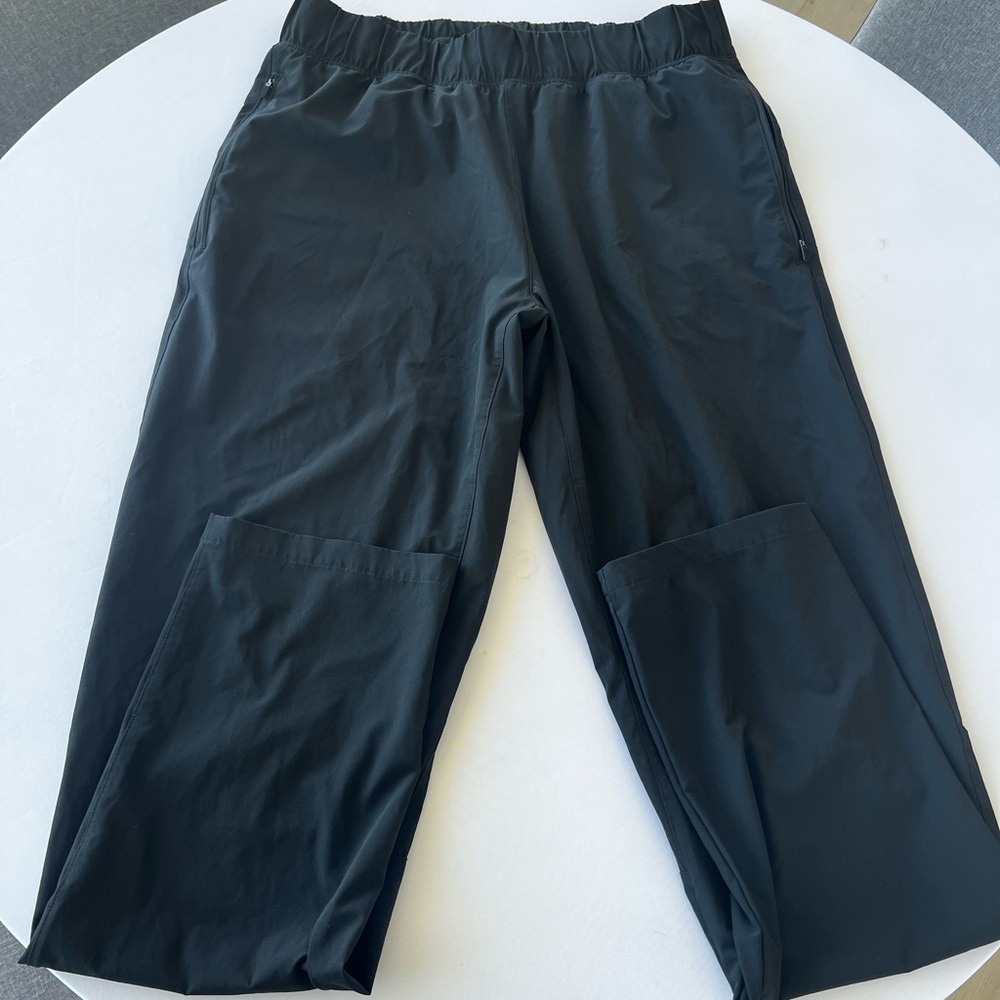 Alo Repetition Pant